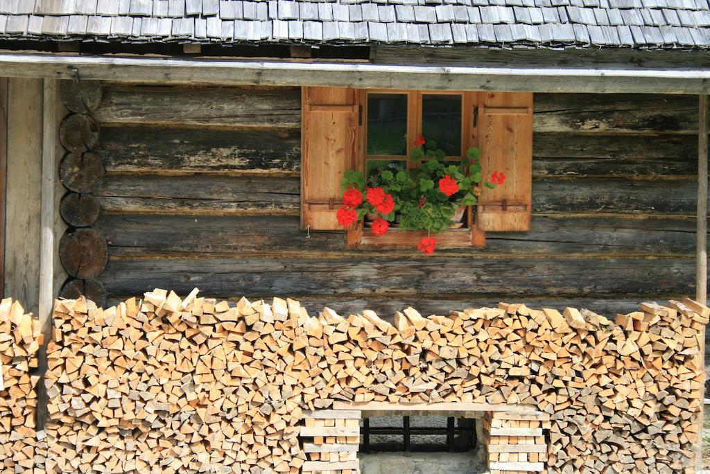 Hotel Haus Hepi Obertraun Zewnętrze zdjęcie