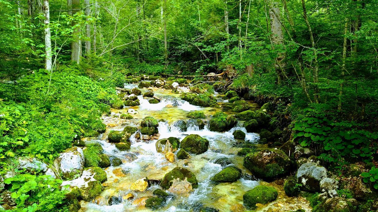 Hotel Haus Hepi Obertraun Zewnętrze zdjęcie