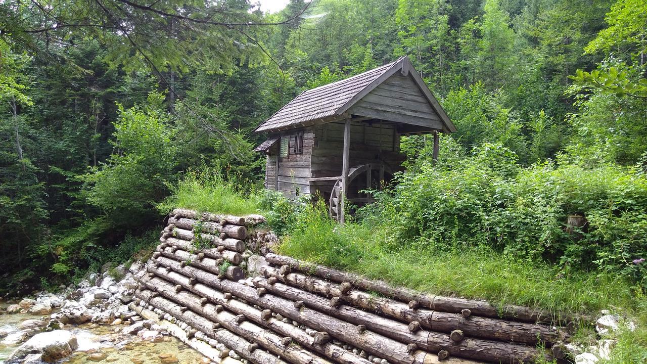 Hotel Haus Hepi Obertraun Zewnętrze zdjęcie